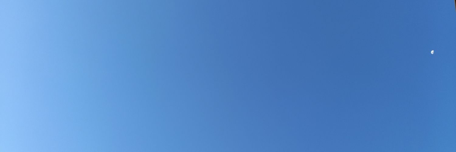 leeticiaak's profile banner image