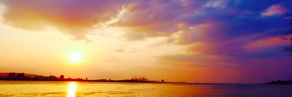 RK719's profile banner image