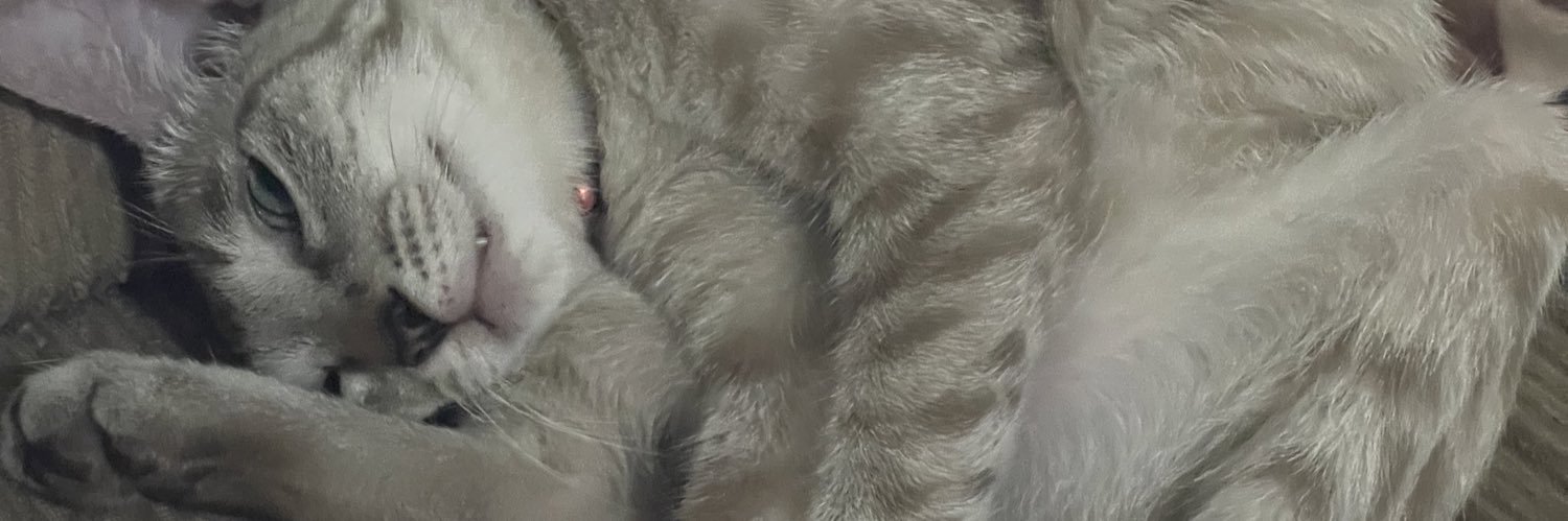 krtepanaligan's profile banner image