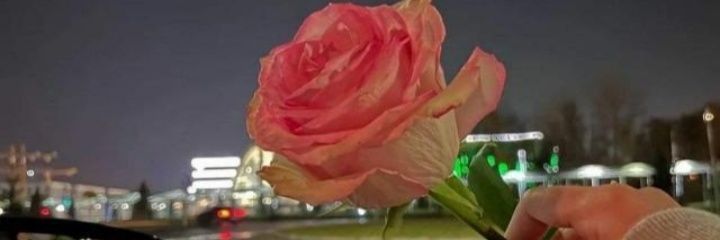 YossraMo's profile banner image