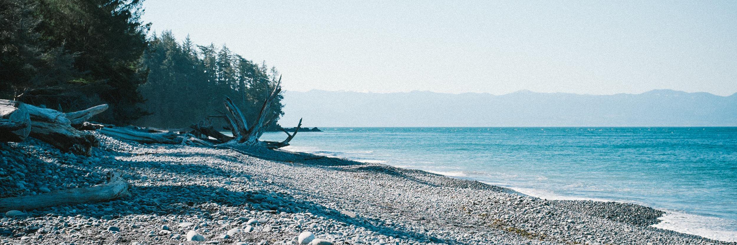 Paula McMahan banner