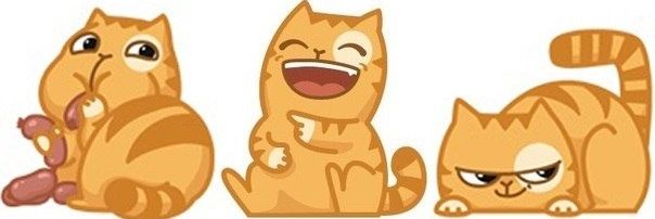 misskatMk's profile banner image
