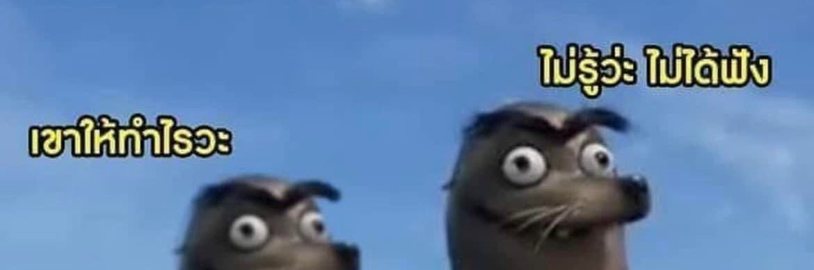 yslvr banner