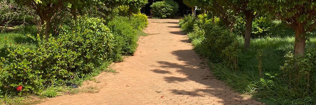 Sandrine N.G.R.T🍀🩸 banner