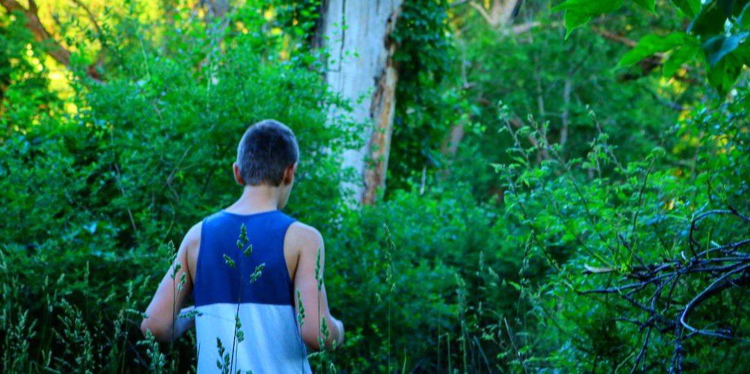 ZechTV's profile banner image