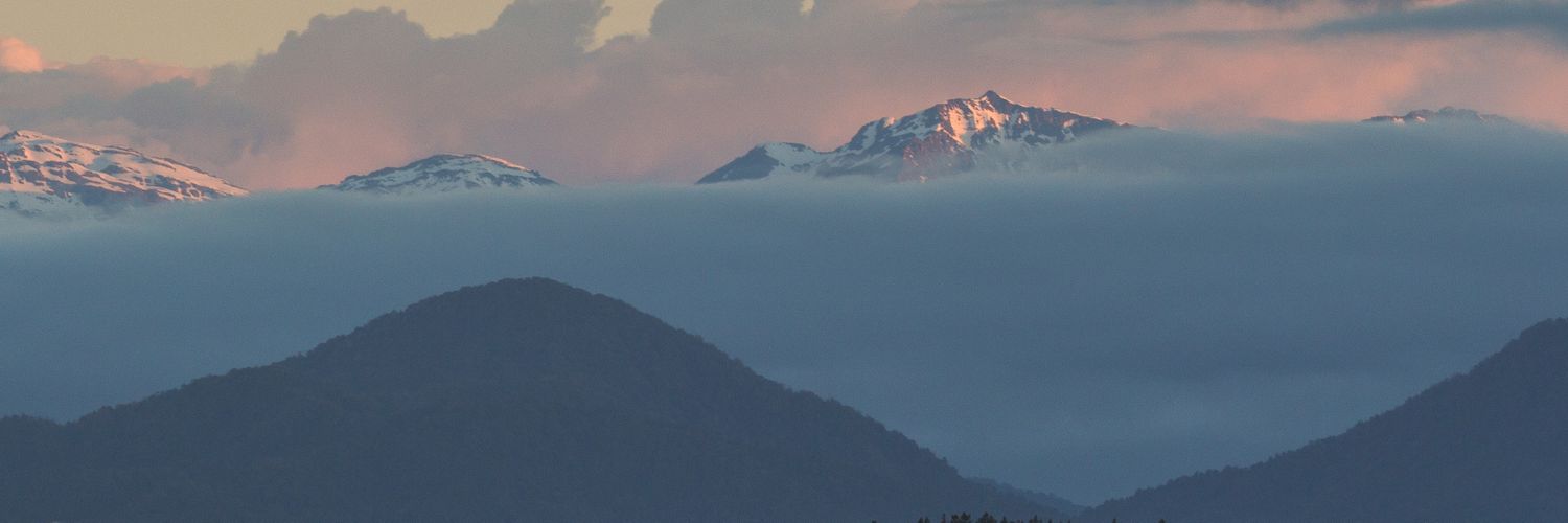 pheenan's profile banner image