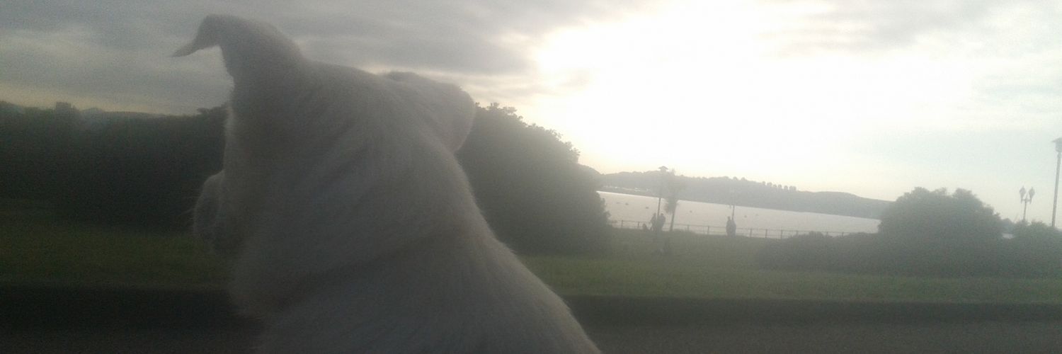 fernandollanez's profile banner image