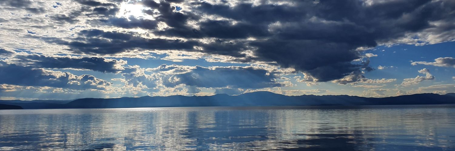 Bolortuya Chuluunbaatar banner