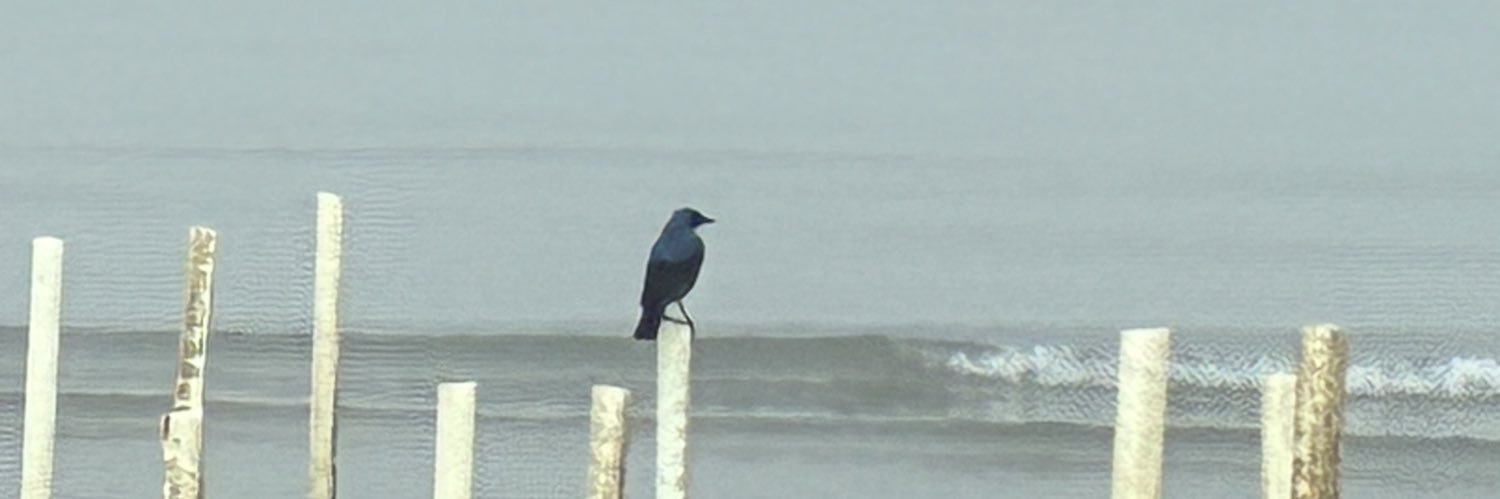 hook_twitty's profile banner image