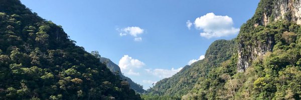 AlexRoure Profile Banner