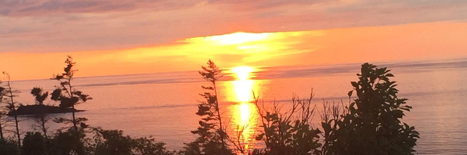 hannahstoddard's profile banner image