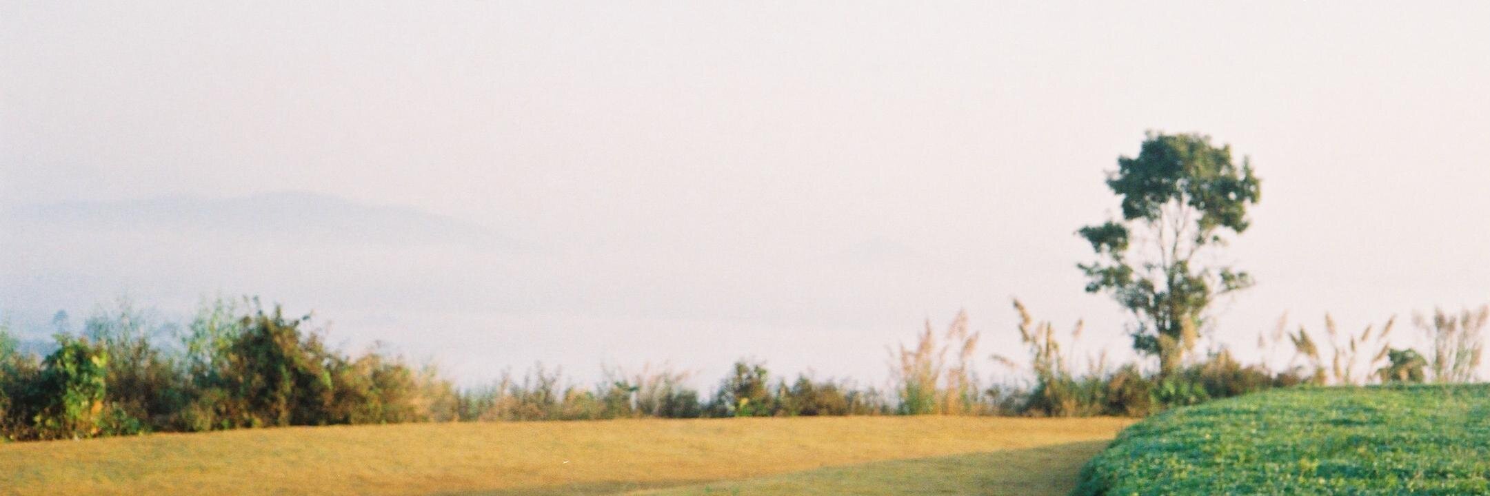 ballorecorders's profile banner image