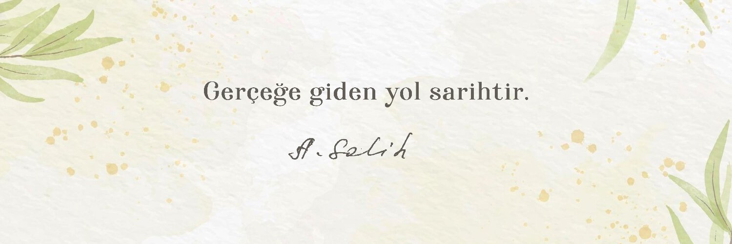 AidinSalih's profile banner image
