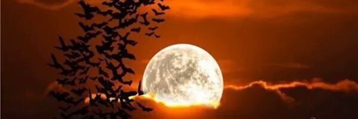 ֆǟɮɖǟ ӄɛʀʊքʊӄ banner