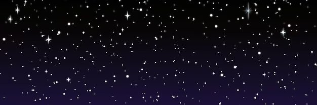 Tarkorra banner