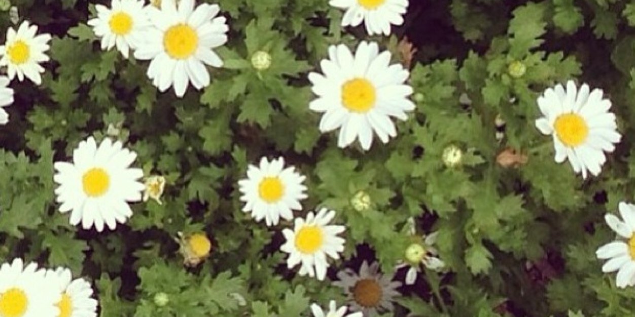 Ria_French's profile banner image