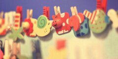 MacArenaLcn's profile banner image