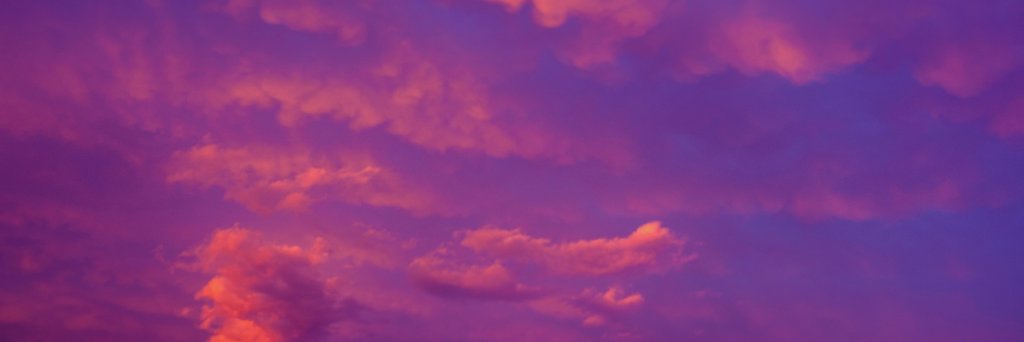 Ruth Coustick-Deal banner