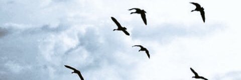7rf1411's profile banner image