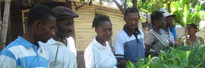 MouvementPaysanPapay banner