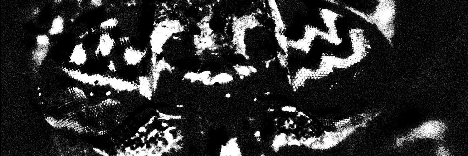 𝔱𝔬𝔪 banner