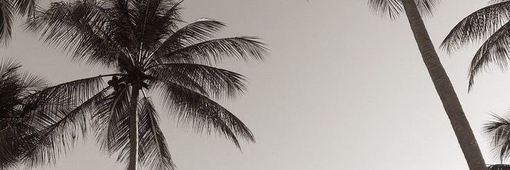 al56e_'s profile banner image