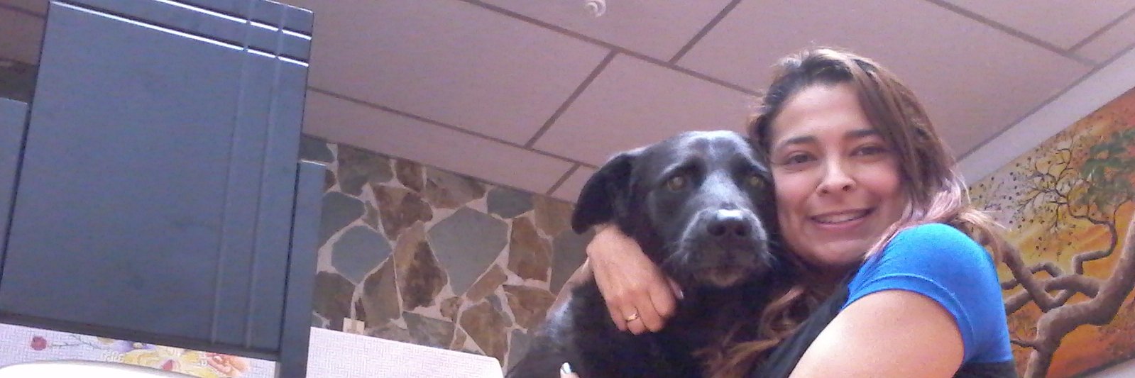 RosaMatallana's profile banner image
