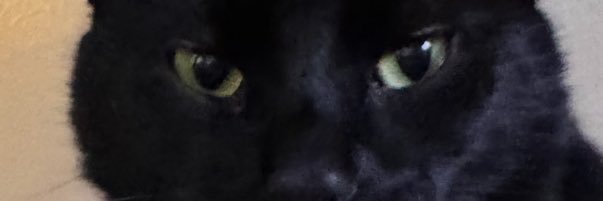 lore banner