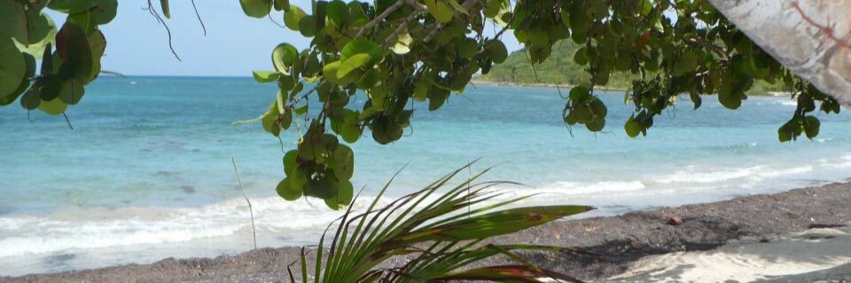 chris10rivera's profile banner image