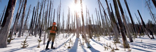 OSUAgSci Profile Banner