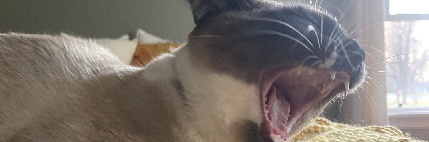 SenPoohDaddy's profile banner image