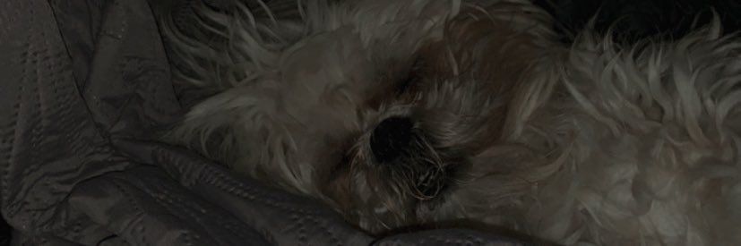 yazmingm17's profile banner image