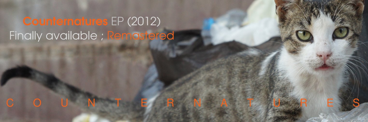 yPhil banner