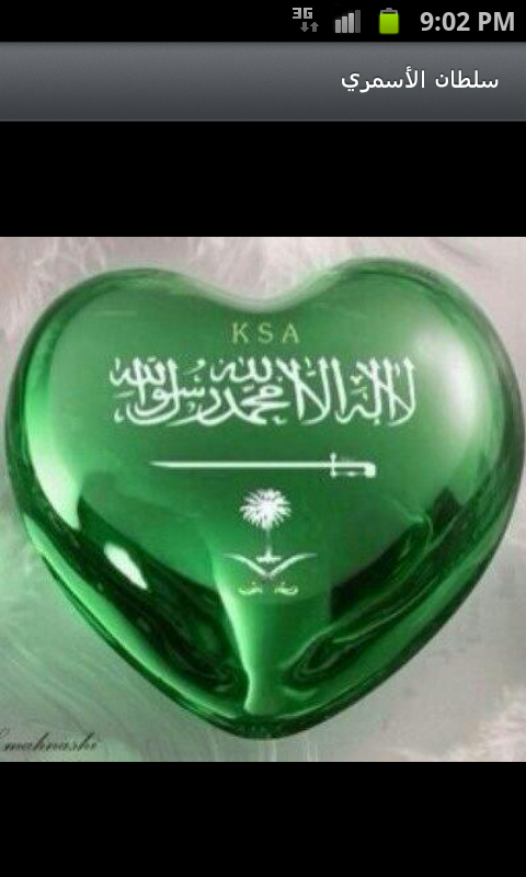 بلقاسم هادي الفقيه banner