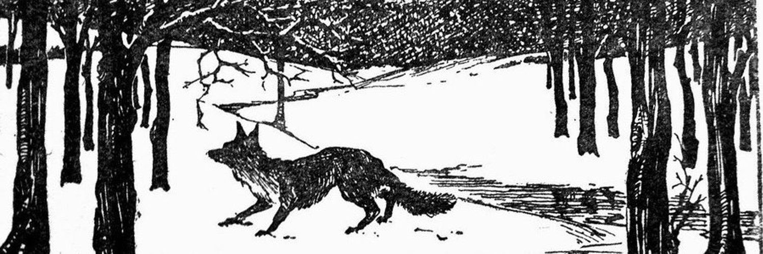 ✷ 𖦹 𖥻 banner