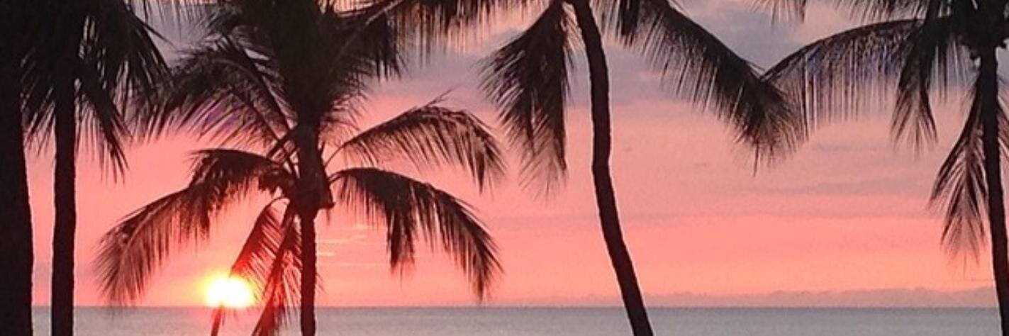 Chris_Albert1's profile banner image