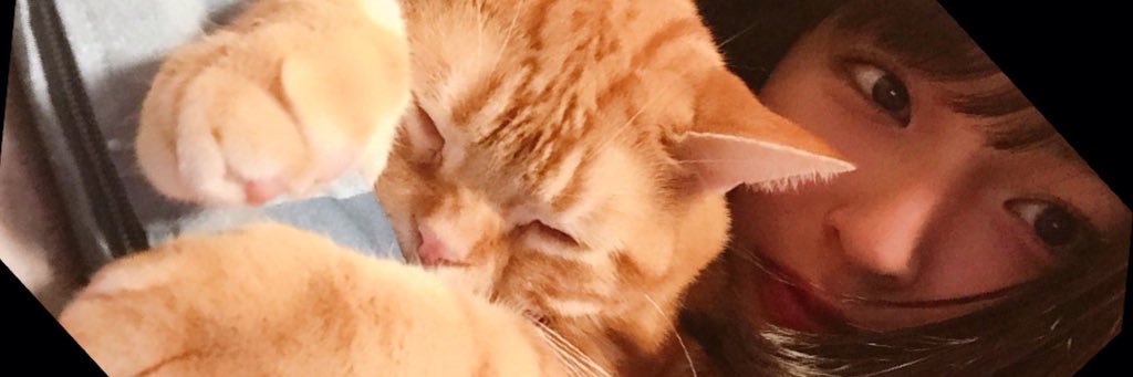 flnneko's profile banner image