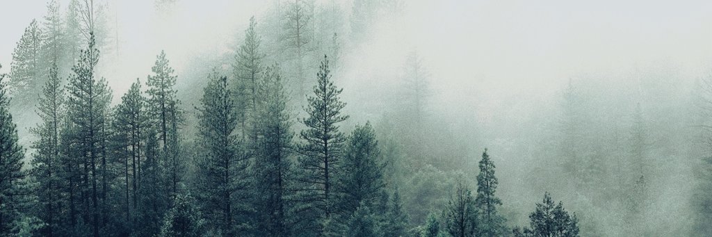 WordsOfTolkien's profile banner image