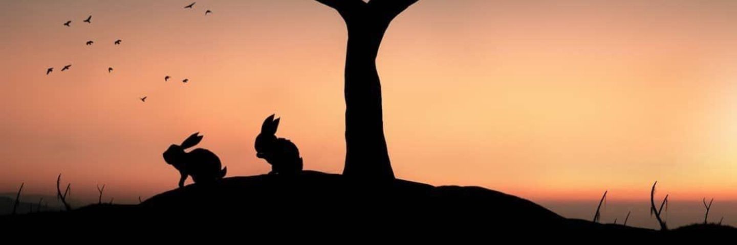Ruchy93's profile banner image