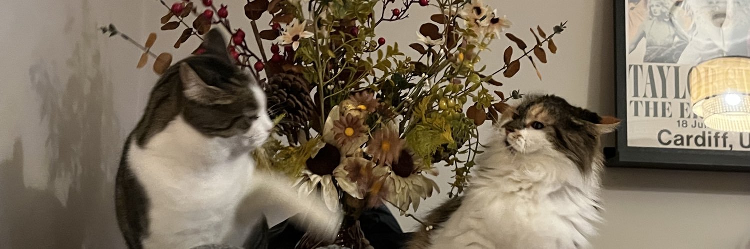 HarrietTTPD's profile banner image