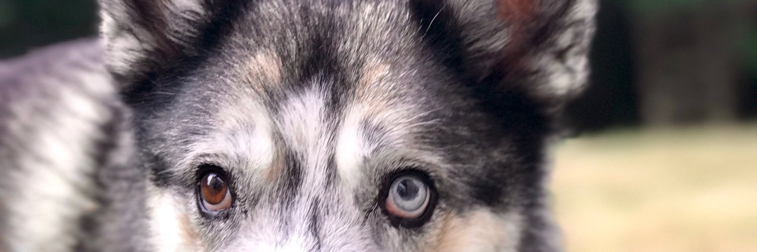 char_bum's profile banner image