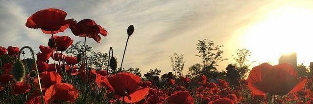 EmilyyAnn0210's profile banner image
