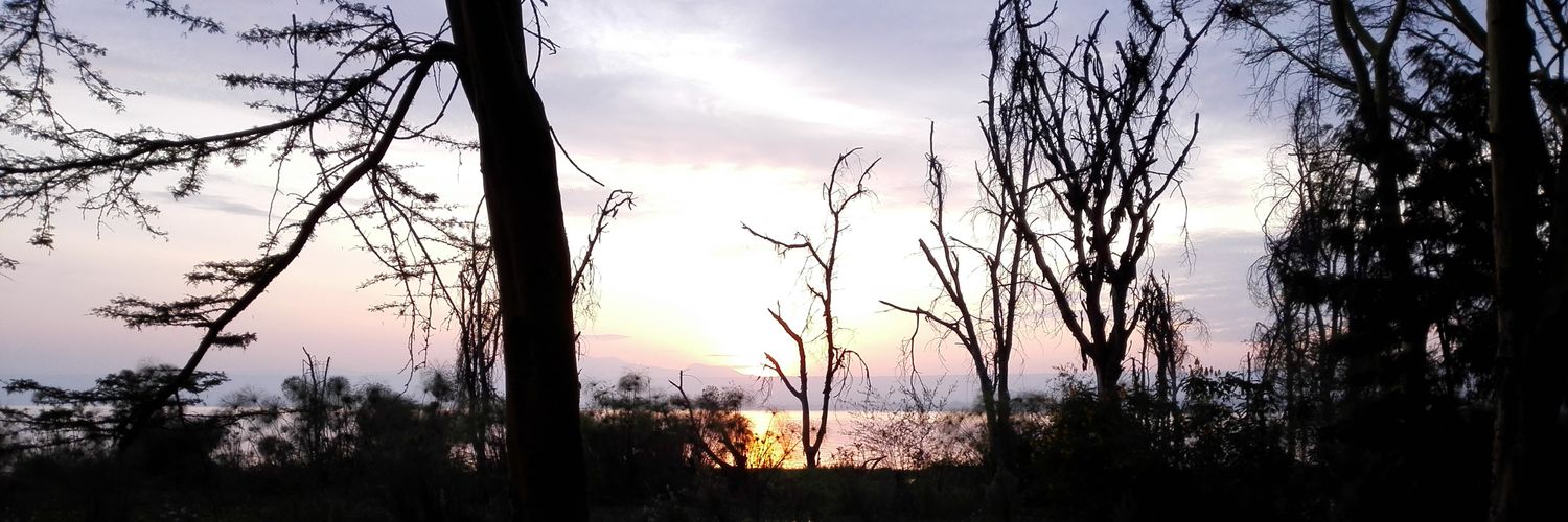 ThiongoMoses's profile banner image