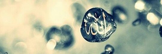 nihataslan25's profile banner image