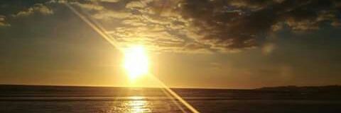 loretofernanda9's profile banner image