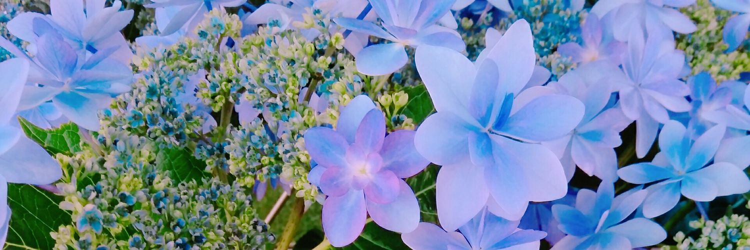 rittan2015's profile banner image