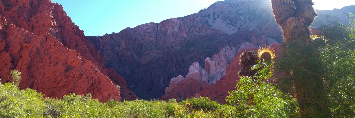LulyCalbosa's profile banner image