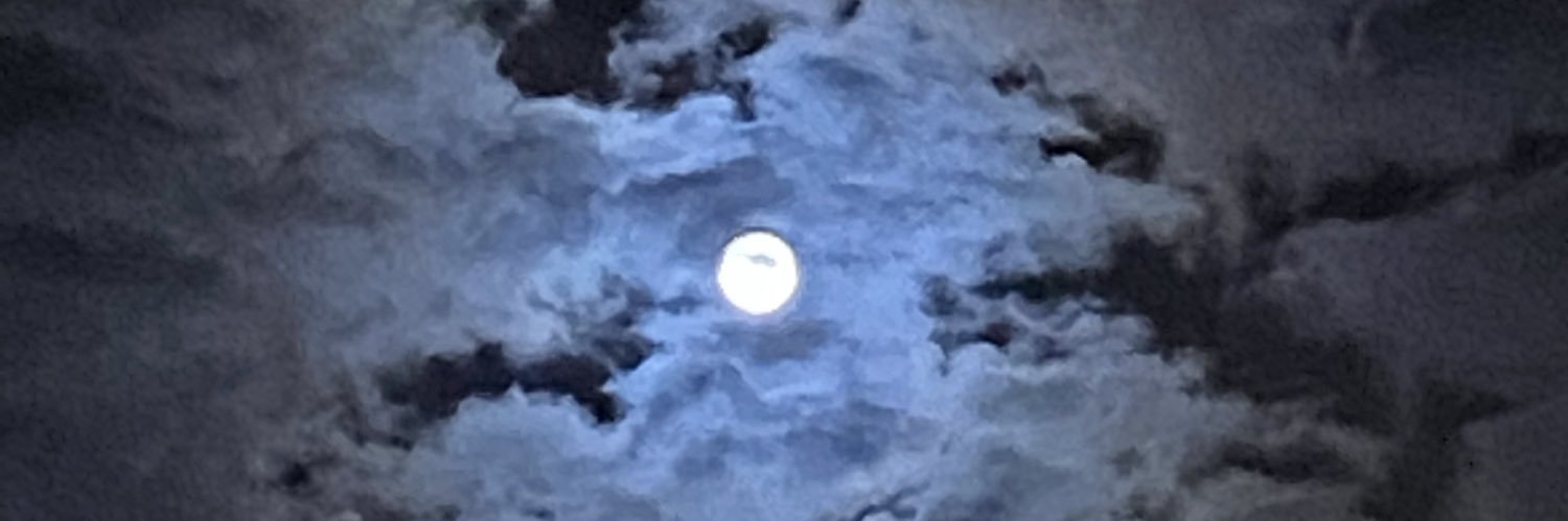 Truly Offended banner