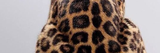 canderod02's profile banner image