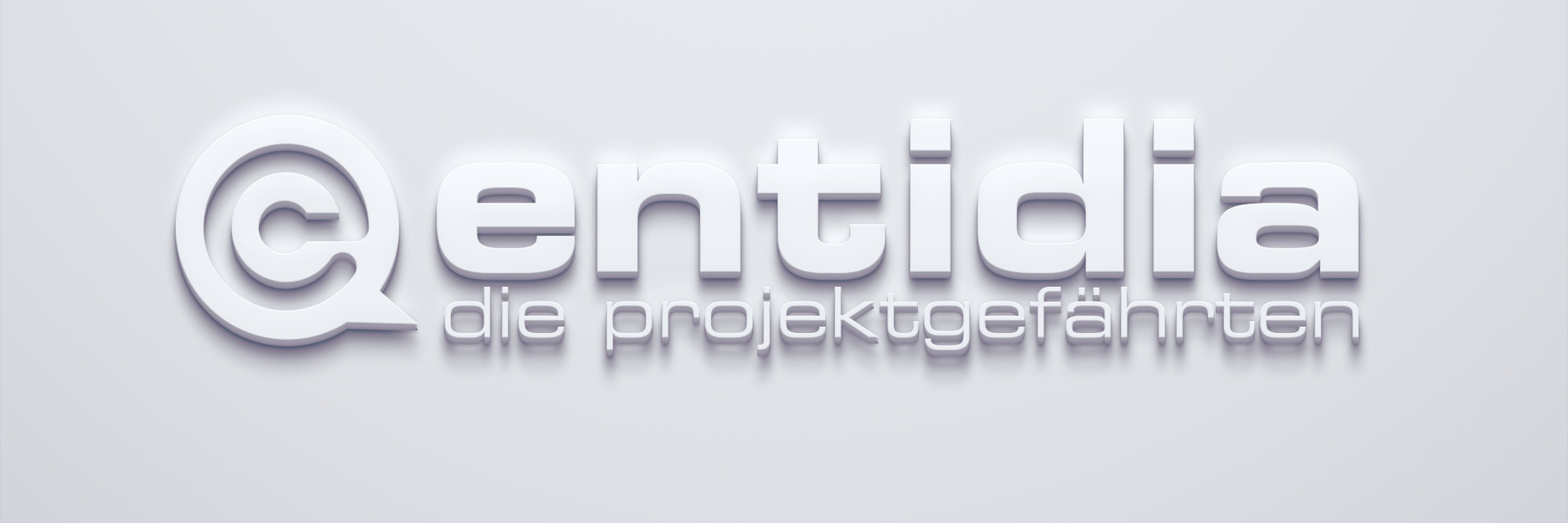 entidia's profile banner image